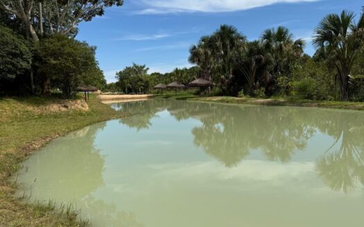 Lote no Condomínio Fazenda Das Flores