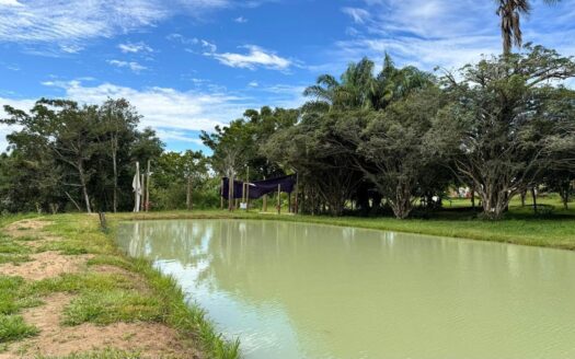 Lote no Condomínio Fazenda Das Flores